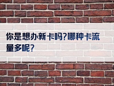 你是想办新卡吗？哪种卡流量多呢？