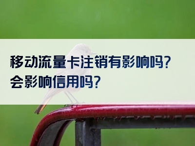 移动流量卡注销有影响吗？会影响信用吗？