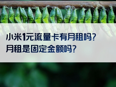 小米1元流量卡有月租吗？月租是固定金额吗？