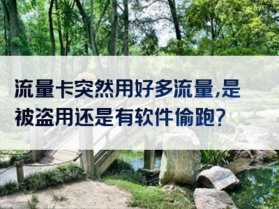 流量卡突然用好多流量，是被盗用还是有软件偷跑？