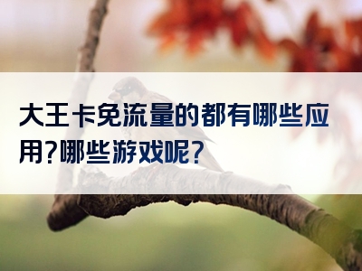 大王卡免流量的都有哪些应用？哪些游戏呢？