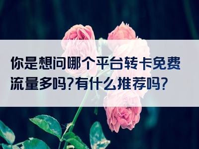 你是想问哪个平台转卡免费流量多吗？有什么推荐吗？