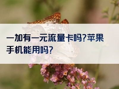一加有一元流量卡吗？苹果手机能用吗？