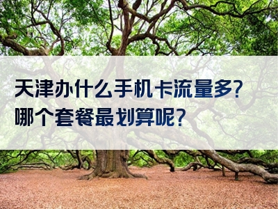天津办什么手机卡流量多？哪个套餐最划算呢？