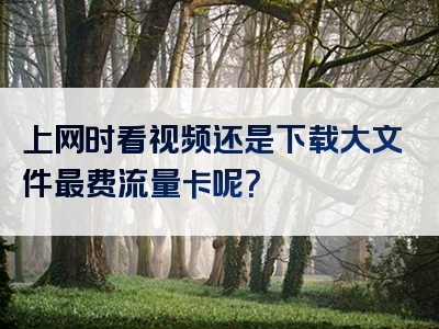 上网时看视频还是下载大文件最费流量卡呢？