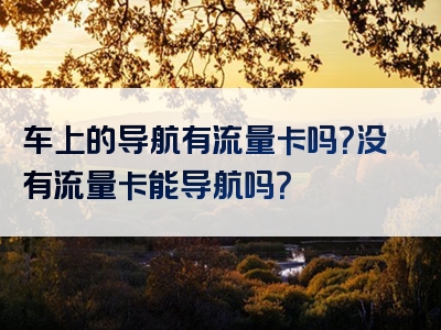 车上的导航有流量卡吗？没有流量卡能导航吗？