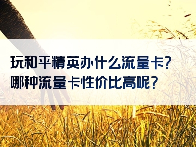 玩和平精英办什么流量卡？哪种流量卡性价比高呢？