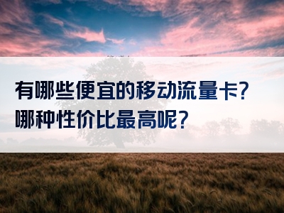 有哪些便宜的移动流量卡？哪种性价比最高呢？