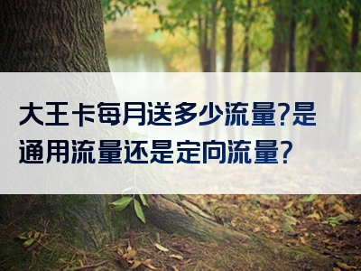 大王卡每月送多少流量？是通用流量还是定向流量？