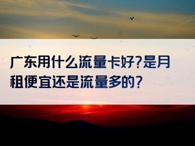 广东用什么流量卡好？是月租便宜还是流量多的？