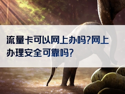 流量卡可以网上办吗？网上办理安全可靠吗？
