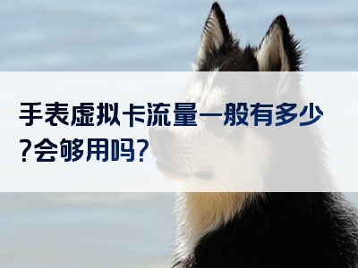 手表虚拟卡流量一般有多少？会够用吗？