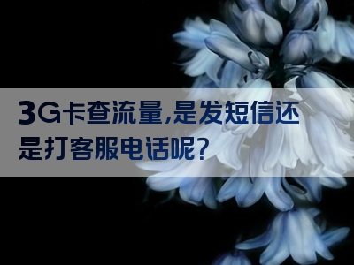 3G卡查流量，是发短信还是打客服电话呢？