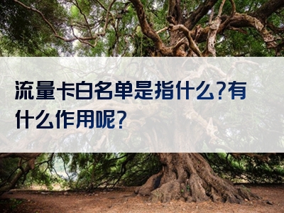 流量卡白名单是指什么？有什么作用呢？