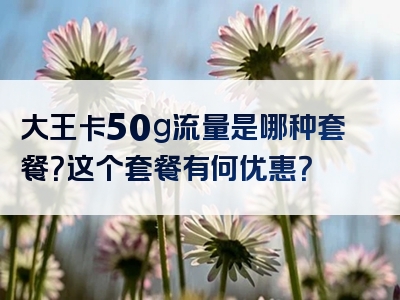 大王卡50g流量是哪种套餐？这个套餐有何优惠？