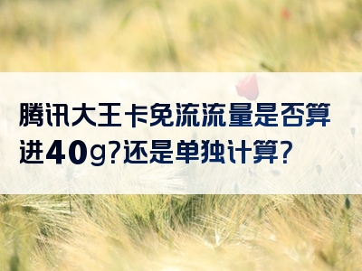腾讯大王卡免流流量是否算进40g？还是单独计算？