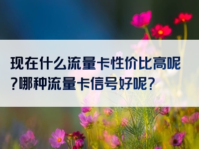 现在什么流量卡性价比高呢？哪种流量卡信号好呢？