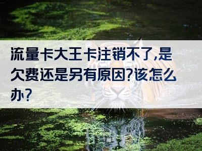 流量卡大王卡注销不了，是欠费还是另有原因？该怎么办？
