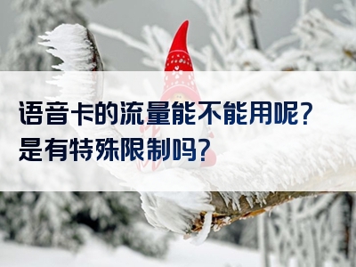 语音卡的流量能不能用呢？是有特殊限制吗？