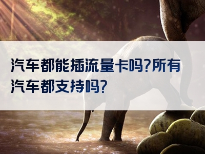 汽车都能插流量卡吗？所有汽车都支持吗？