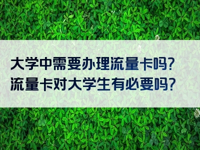 大学中需要办理流量卡吗？流量卡对大学生有必要吗？