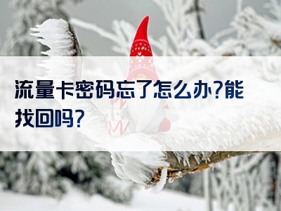 流量卡密码忘了怎么办？能找回吗？