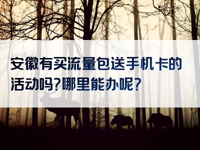 安徽有买流量包送手机卡的活动吗？哪里能办呢？