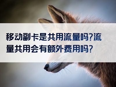 移动副卡是共用流量吗？流量共用会有额外费用吗？