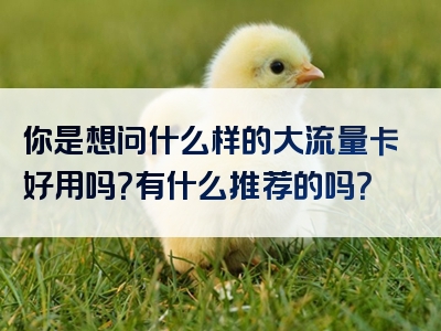 你是想问什么样的大流量卡好用吗？有什么推荐的吗？