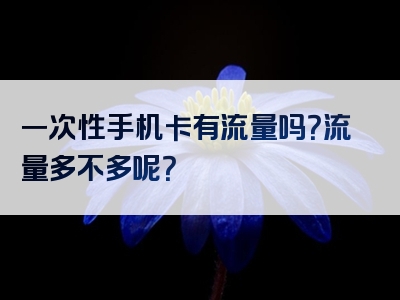 一次性手机卡有流量吗？流量多不多呢？