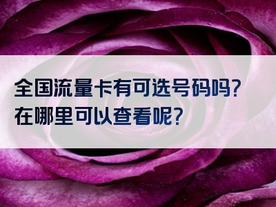 全国流量卡有可选号码吗？在哪里可以查看呢？