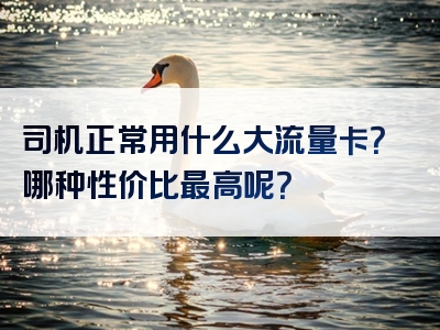 司机正常用什么大流量卡？哪种性价比最高呢？