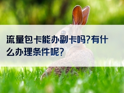 流量包卡能办副卡吗？有什么办理条件呢？