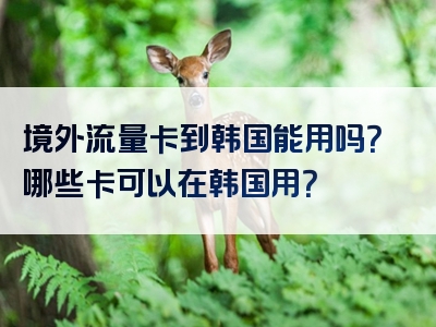 境外流量卡到韩国能用吗？哪些卡可以在韩国用？