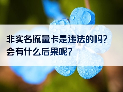 非实名流量卡是违法的吗？会有什么后果呢？