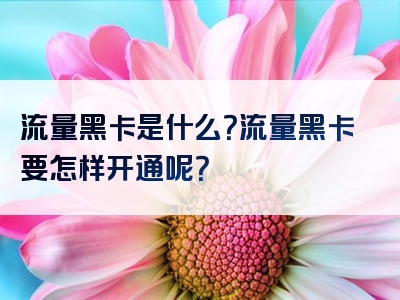 流量黑卡是什么？流量黑卡要怎样开通呢？