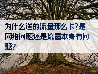 为什么送的流量那么卡？是网络问题还是流量本身有问题？
