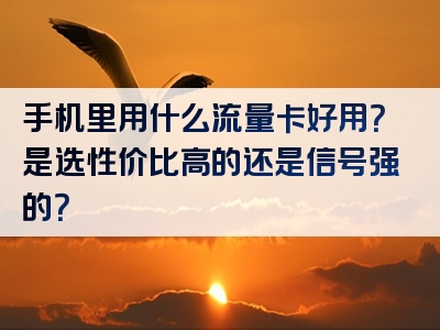 手机里用什么流量卡好用？是选性价比高的还是信号强的？