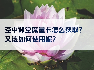 空中课堂流量卡怎么获取？又该如何使用呢？
