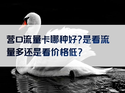 营口流量卡哪种好？是看流量多还是看价格低？