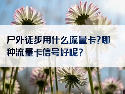 户外徒步用什么流量卡？哪种流量卡信号好呢？