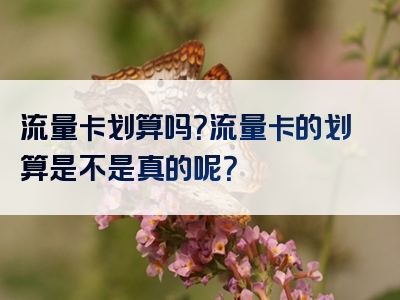 流量卡划算吗？流量卡的划算是不是真的呢？