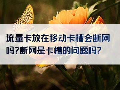流量卡放在移动卡槽会断网吗？断网是卡槽的问题吗？