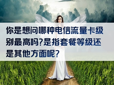 你是想问哪种电信流量卡级别最高吗？是指套餐等级还是其他方面呢？