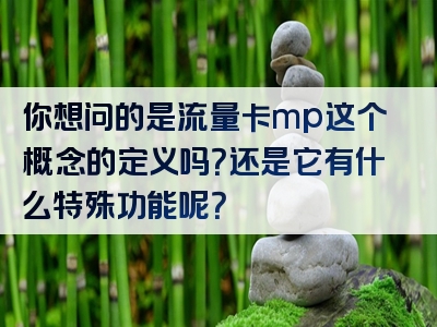 你想问的是流量卡mp这个概念的定义吗？还是它有什么特殊功能呢？
