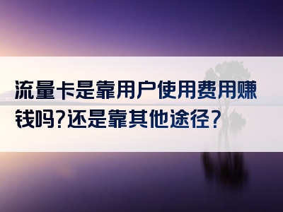 流量卡是靠用户使用费用赚钱吗？还是靠其他途径？