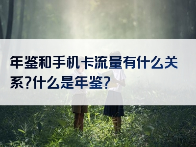 年鉴和手机卡流量有什么关系？什么是年鉴？