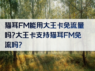 猫耳FM能用大王卡免流量吗？大王卡支持猫耳FM免流吗？