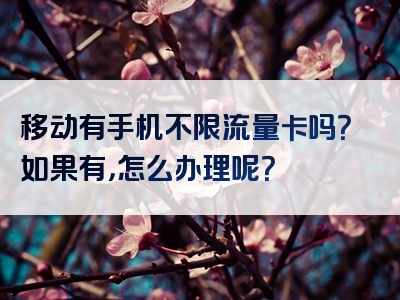 移动有手机不限流量卡吗？如果有，怎么办理呢？