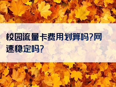 校园流量卡费用划算吗？网速稳定吗？
